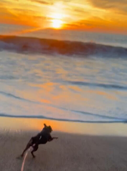 Beach run
